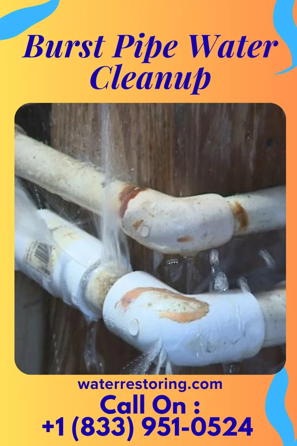 Burst Pipe Water Cleanup in Des Plaines, IL