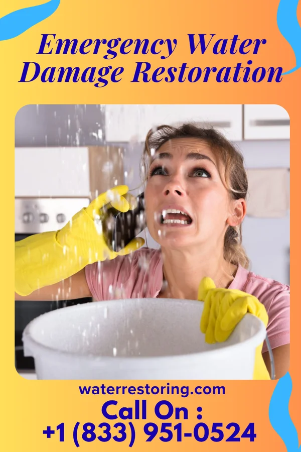Emergency Water Damage Restoration in Des Plaines, IL