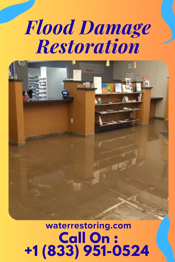 Flood Damage Restoration in Des Plaines, IL