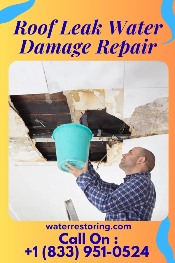 Roof Leak Water Damage Repair in Des Plaines, IL