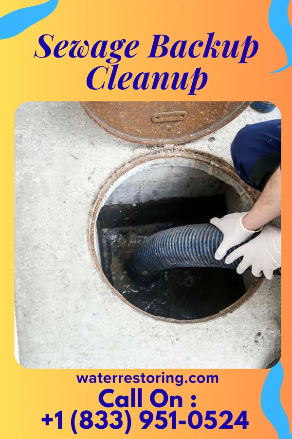 Sewage Backup Cleanup in Des Plaines, IL