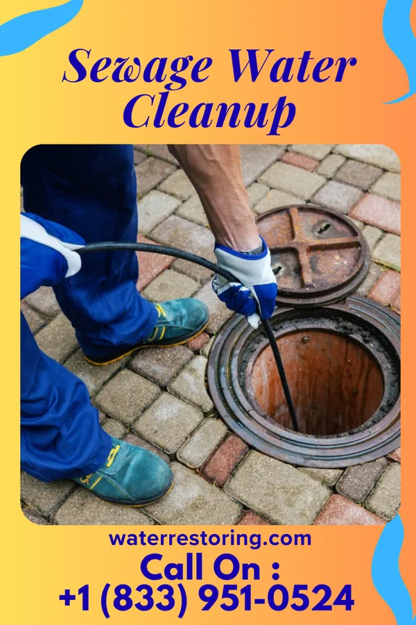 Sewage Water Cleanup in Des Plaines, IL